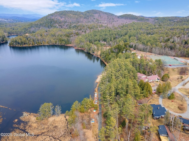 4A High Pines Ter, Warrensburg, NY 12817 - aerial view of property and surrounding area featuring a heavily wooded area and a water and mountain view