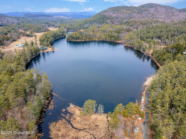 4A High Pines Ter, Warrensburg, NY 12817 - view of property location featuring a heavily wooded area and a water and mountain view
