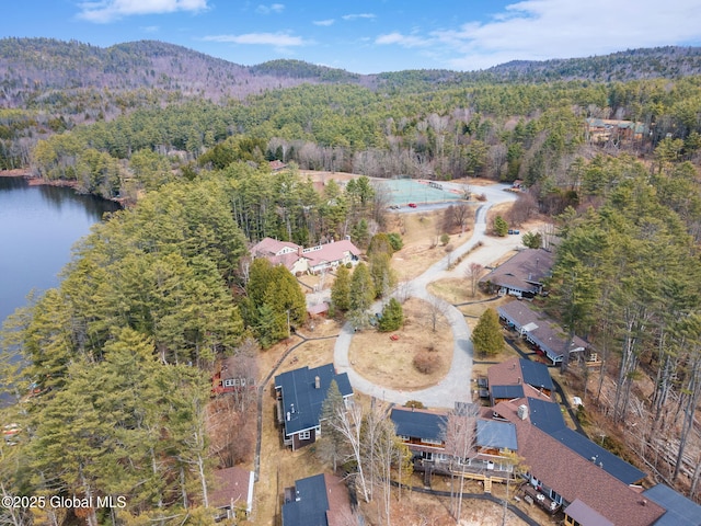 4A High Pines Ter, Warrensburg, NY 12817 - aerial view of property and surrounding area featuring a heavily wooded area and a water and mountain view