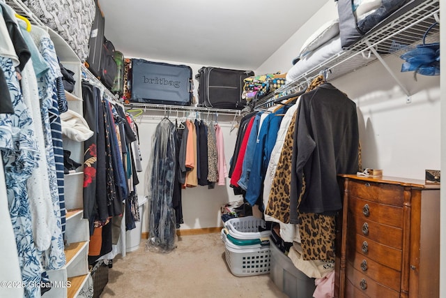 10 Overlook Dr, Wilton, NY 12831 - walk in closet featuring carpet flooring