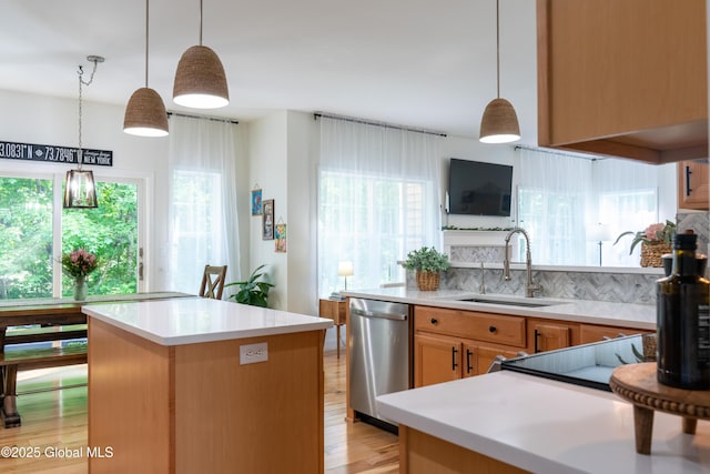 76 Hoffman Ct, Milton, NY 12020 - kitchen featuring stainless steel dishwasher, light wood-style floors, plenty of natural light, and light countertops