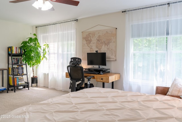 76 Hoffman Ct, Milton, NY 12020 - view of carpeted bedroom