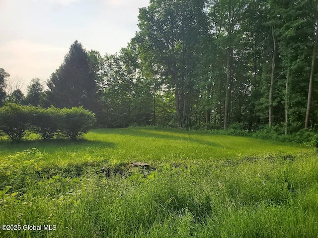 L14 Lakeview Circle Dr, Lake George, NY 12845