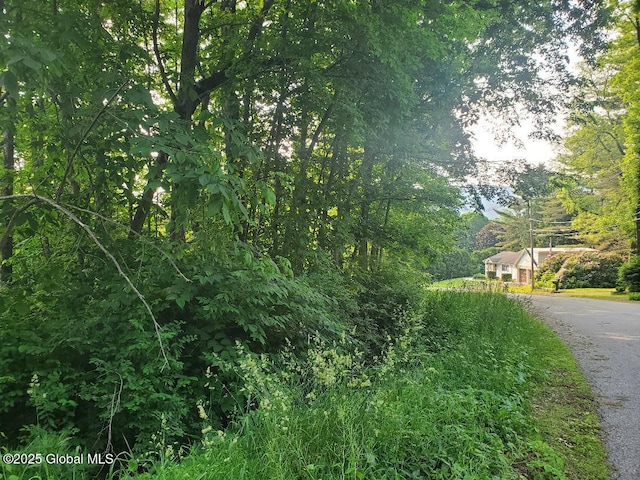 L14 Lakeview Circle Dr, Lake George, NY 12845