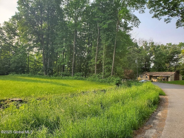 L14 Lakeview Circle Dr, Lake George, NY 12845