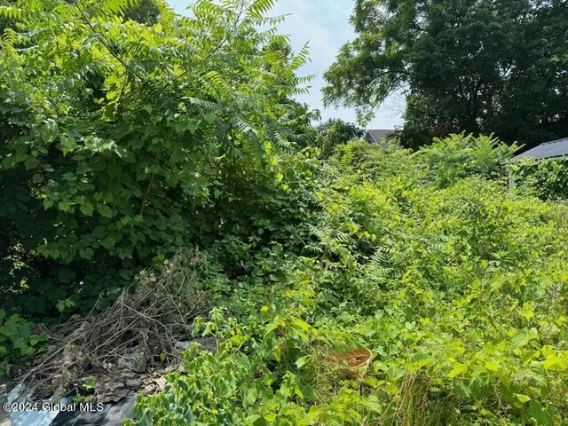 112 Mason St, Johnstown, NY 12095 - view of nature