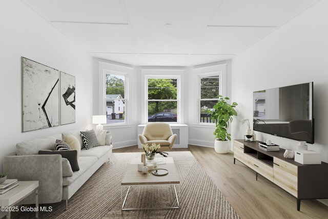 2321 1st Ave, Rotterdam, NY 12303 - living area featuring light wood-type flooring and baseboards