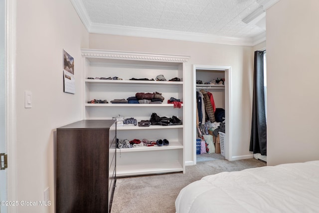 462-470 2nd Ave, Troy, NY 12182 - bedroom with carpet flooring, crown molding, a closet, and an ornate ceiling
