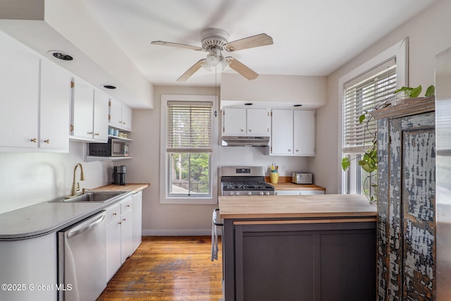462-470 2nd Ave, Troy, NY 12182 - kitchen featuring appliances with stainless steel finishes, under cabinet range hood, white cabinetry, and wood finished floors