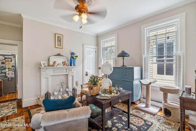 462-470 2nd Ave, Troy, NY 12182 - living room with wood finished floors, a ceiling fan, and crown molding