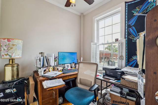 462-470 2nd Ave, Troy, NY 12182 - office area featuring crown molding, ceiling fan, and wood finished floors