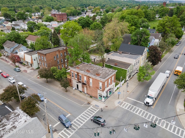 462-470 2nd Ave, Troy, NY 12182 - bird's eye view of a forest