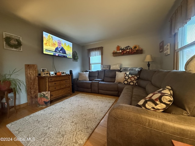 31 Wilson Ave, South Glens Falls, NY 12803 - living room featuring plenty of natural light and light wood-type flooring