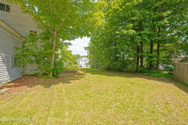3885 Main St, Warrensburg, NY 12885 - view of yard