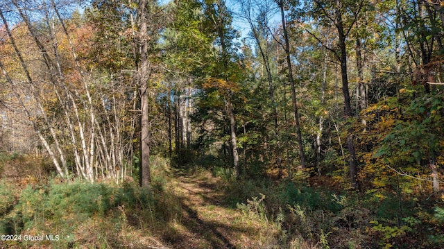 L122 Dimmick Rd, Wilton, NY 12831