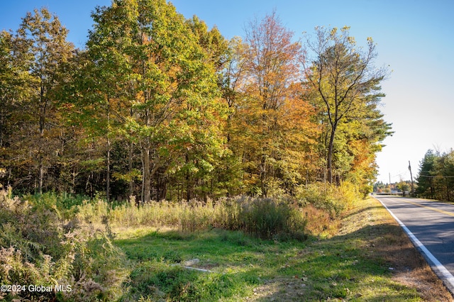 L122 Dimmick Rd, Wilton, NY 12831