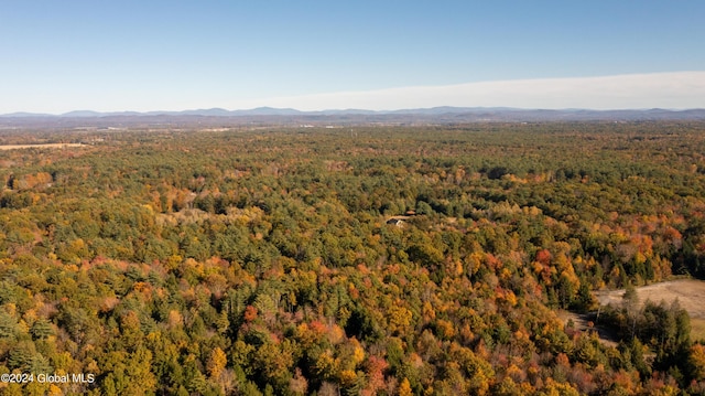 L122 Dimmick Rd, Wilton, NY 12831