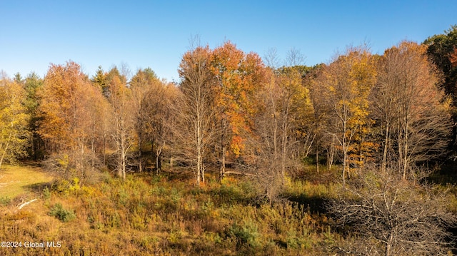L122 Dimmick Rd, Wilton, NY 12831