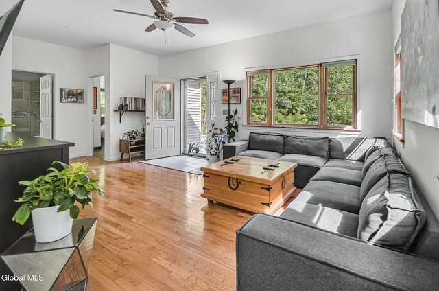 108 La Flamme Rd, Providence, NY 12850 - living room featuring ceiling fan and light wood-type flooring