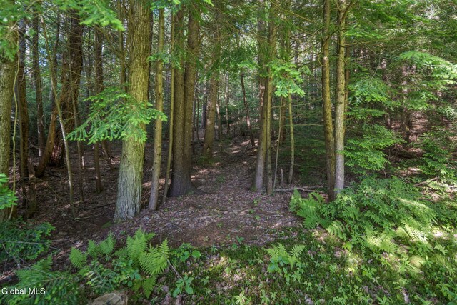 108 La Flamme Rd, Providence, NY 12850 - view of woods