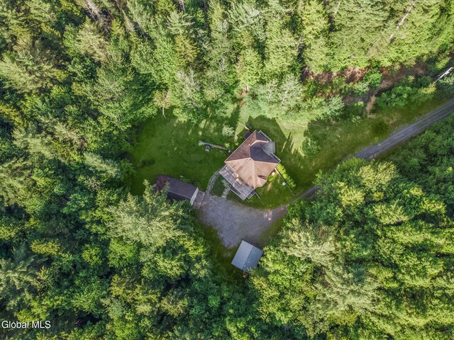 108 La Flamme Rd, Providence, NY 12850 - view from above of property