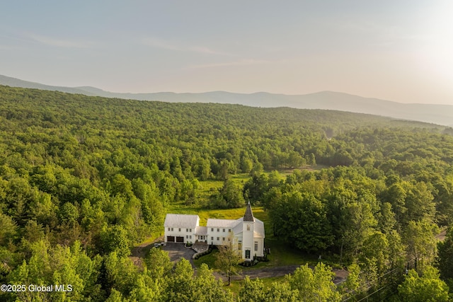 1174 Potter Mountain Rd, Gilboa, NY 12076 - aerial view of property and surrounding area featuring a forest and a mountain backdrop