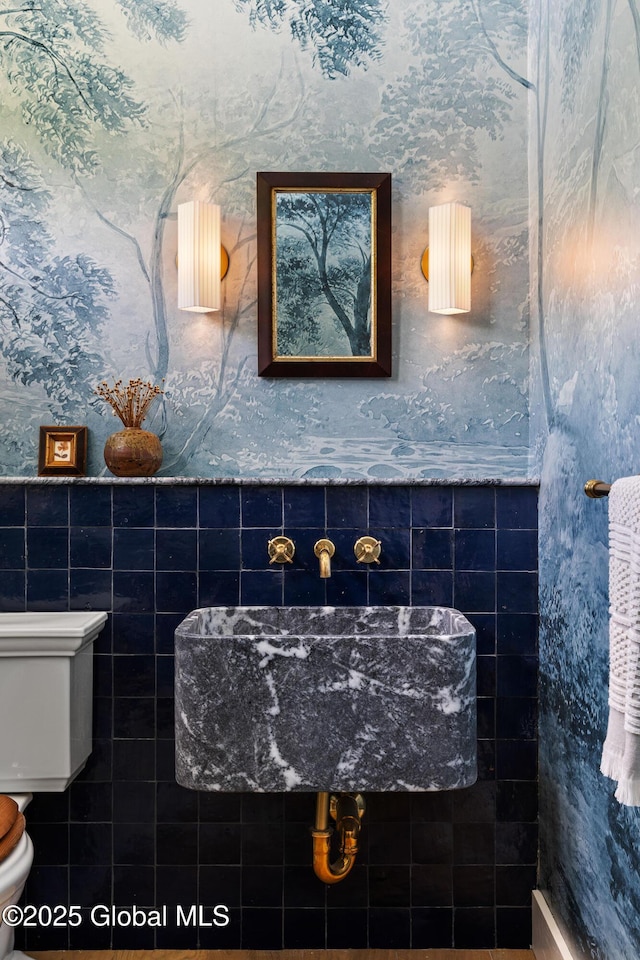 1174 Potter Mountain Rd, Gilboa, NY 12076 - bathroom featuring toilet