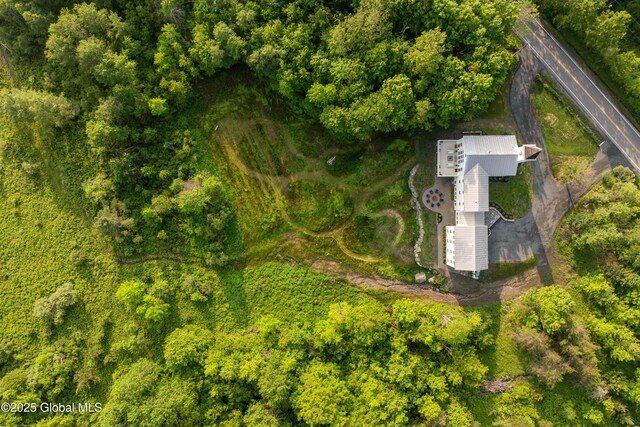 1174 Potter Mountain Rd, Gilboa, NY 12076 - aerial view