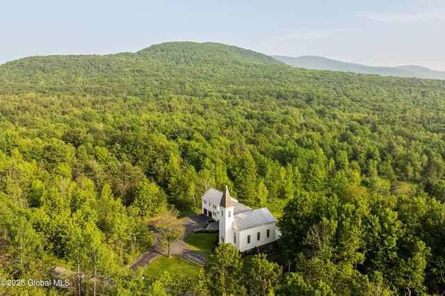 1174 Potter Mountain Rd, Gilboa, NY 12076 - view from above of property featuring a forest and a mountain backdrop