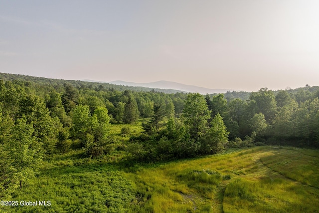 1174 Potter Mountain Rd, Gilboa, NY 12076 - mountain view with a heavily wooded area