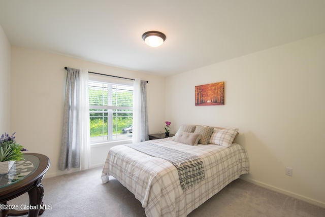 24 Utica Ave, Colonie, NY 12110 - bedroom with carpet floors and baseboards