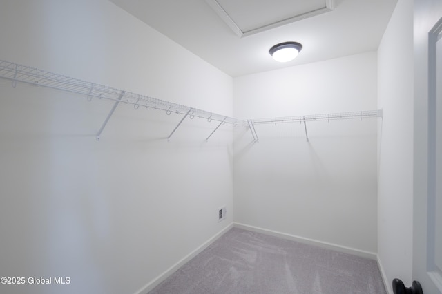 24 Utica Ave, Colonie, NY 12110 - spacious closet featuring carpet floors and attic access