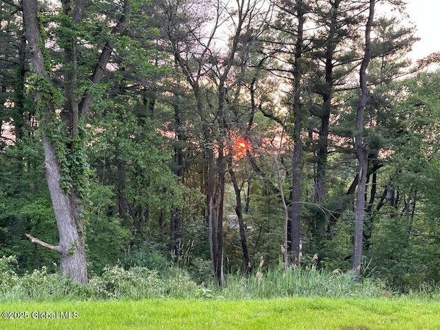 24 Utica Ave, Colonie, NY 12110 - view of wooded area