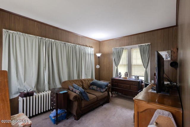 54 Wendell St, Ravena, NY 12143 - living area featuring radiator heating unit, light carpet, and wood walls