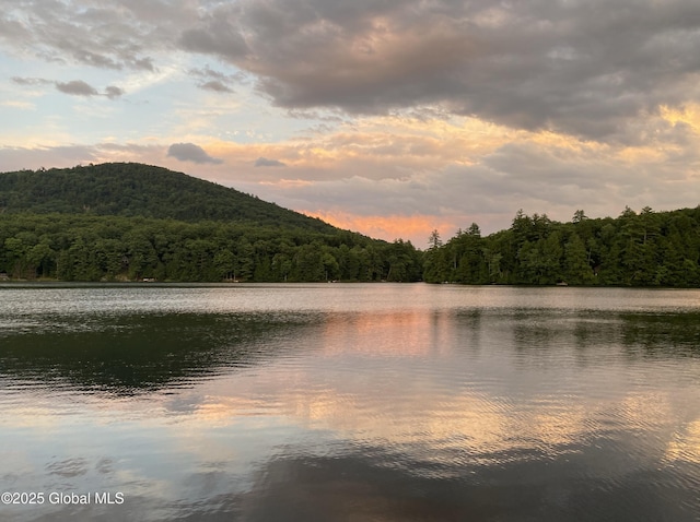 23 S Copeland Pond Way, Fort Ann, NY 12827 - water view with a heavily wooded area