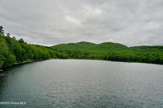 23 S Copeland Pond Way, Fort Ann, NY 12827 - water view featuring a heavily wooded area