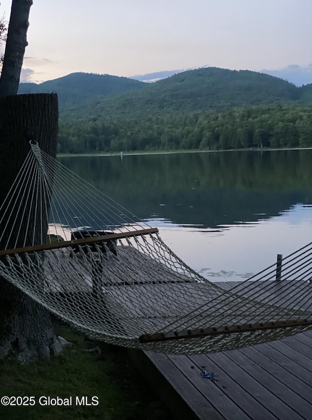 23 S Copeland Pond Way, Fort Ann, NY 12827 - dock with a water and mountain view and a view of trees