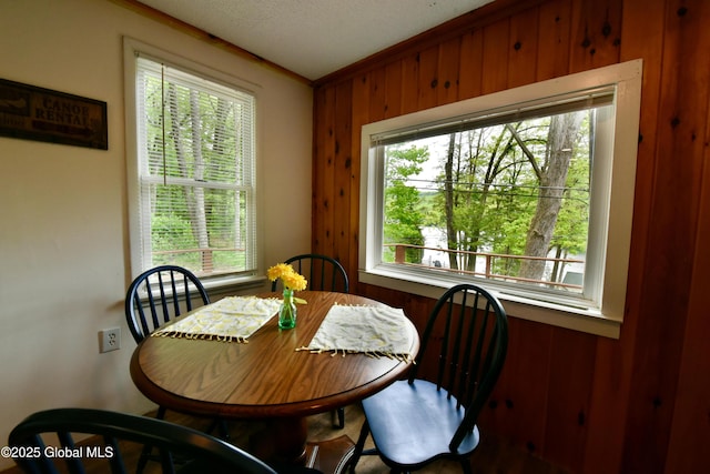 23 S Copeland Pond Way, Fort Ann, NY 12827 - dining area with wooden walls and healthy amount of natural light