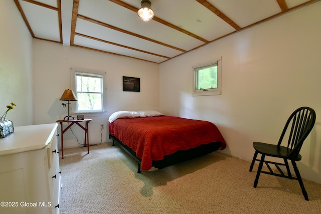 23 S Copeland Pond Way, Fort Ann, NY 12827 - view of carpeted bedroom