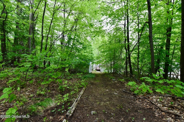 23 S Copeland Pond Way, Fort Ann, NY 12827 - view of yard featuring a forest view