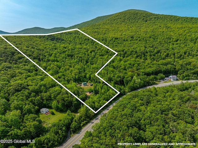 7209 Rte 23, Durham, NY 12423 - photo 1