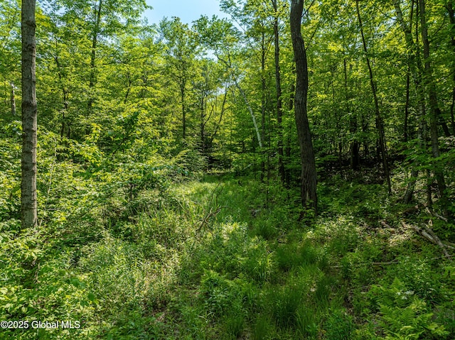 7209 Rte 23, Durham, NY 12423 - photo 5