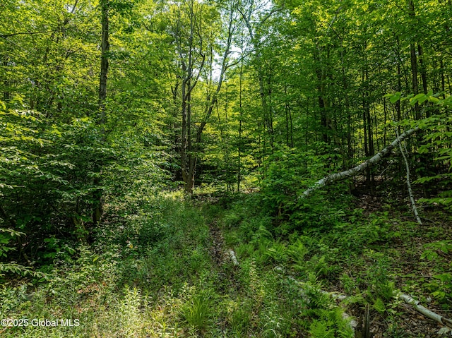 7209 Rte 23, Durham, NY 12423 - photo 6