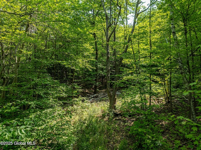 7209 Rte 23, Durham, NY 12423 - photo 7