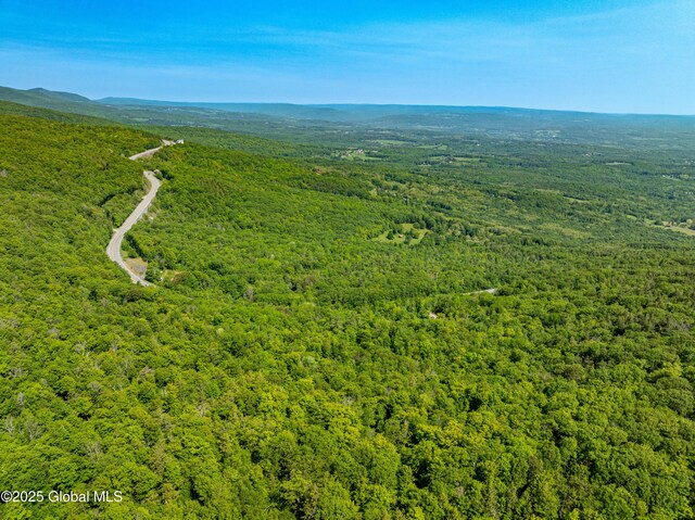 7209 Rte 23, Durham, NY 12423 - photo 8