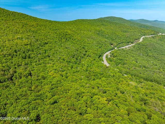 7209 Rte 23, Durham, NY 12423 - photo 9