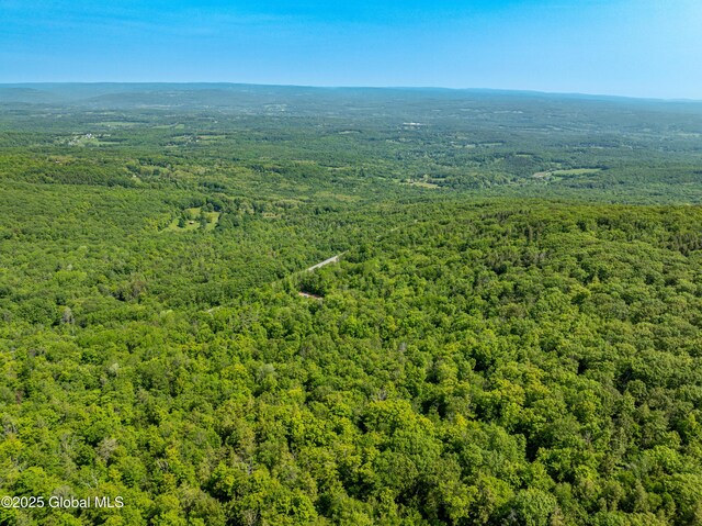 7209 Rte 23, Durham, NY 12423 - photo 10
