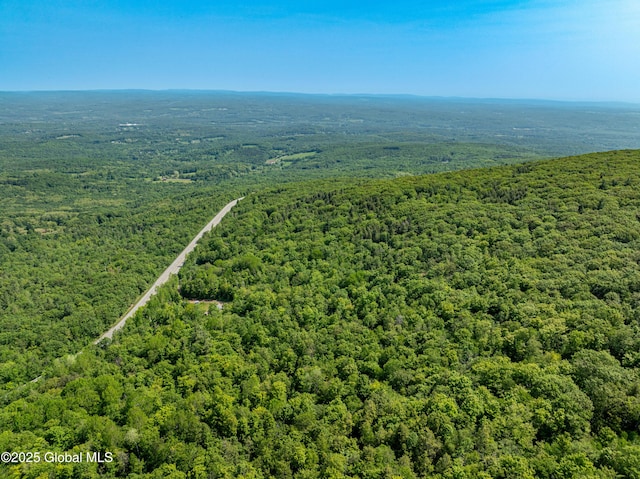 7209 Rte 23, Durham, NY 12423 - photo 11