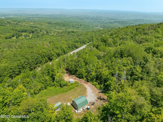 7209 Rte 23, Durham, NY 12423 - photo 19