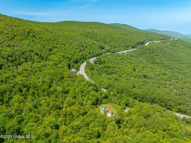 7209 Rte 23, Durham, NY 12423 - photo 20